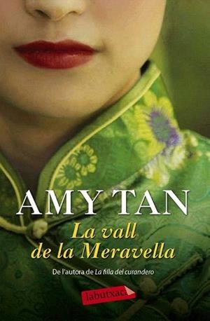 VALL DE LA MERAVELLA, LA | 9788416334278 | TAN, AMY