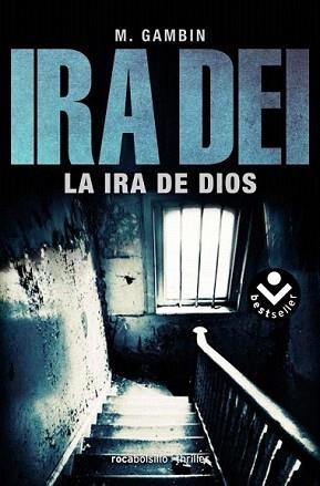 IRA DE DIOS, LA | 9788492833764 | GAMBÍN, MARIANO