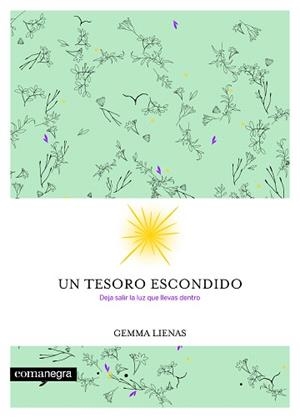 TESORO ESCONDIDO, UN | 9788416605354 | LIENAS, GEMMA