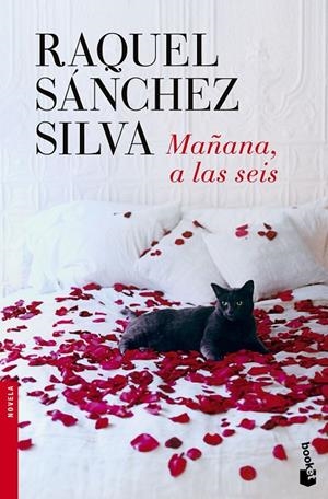 MAÑANA, A LAS SEIS | 9788408140498 | SÁNCHEZ SILVA, RAQUEL