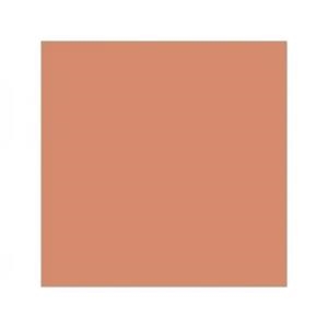 CARTOLINA GUARRO 185G 50X65 VERD POMA / CORALL | 3148950120120