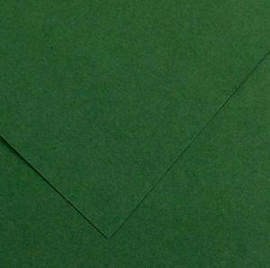 CARTOLINA GUARRO 185G 50X65 VERD AMAZONAS | 3148950402400