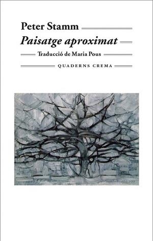 PAISATGE APROXIMAT | 9788477274056 | STAMM, PETER