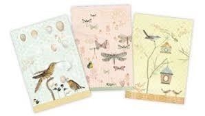 COLECCIÓN MIRANDA. SET 3 CUADERNOS | 8414643191407