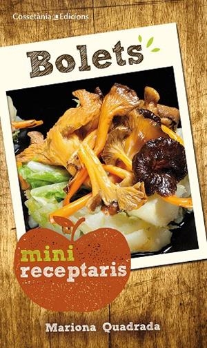 BOLETS | 9788490343616 | QUADRADA, MARIONA