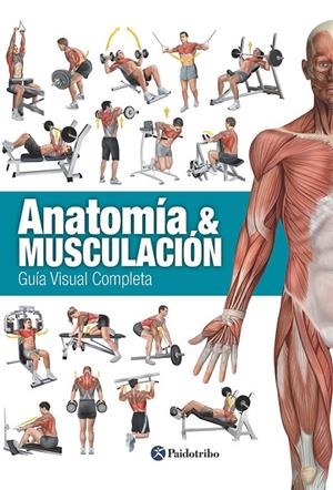 ANATOMÍA & MUSCULACIÓN. GUÍA VISUAL COMPLETA | 9788499104911 | CÁNOVAS LINARES, RICARDO