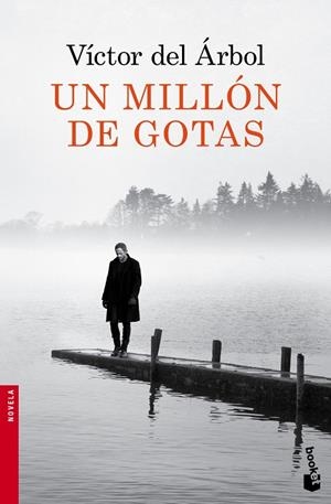MILLÓN DE GOTAS, UN | 9788423349418 | DEL ÁRBOL, VÍCTOR