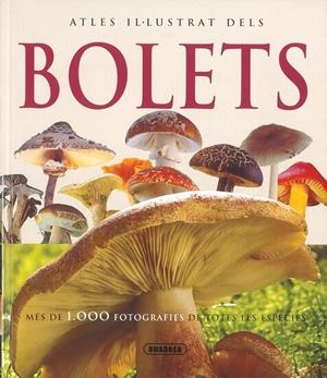 ATLES IL·LUSTRAT DELS BOLETS | 9788467700350 | SUSAETA