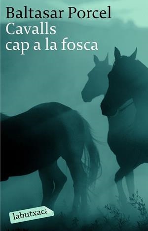 CAVALLS CAP A LA FOSCA, ELS | 9788496863040 | PORCEL, BALTASAR