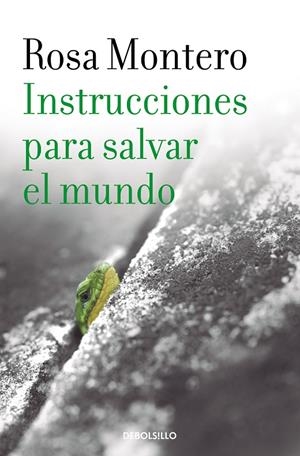 INSTRUCCIONES PARA SALVAR EL MUNDO | 9788490629246 | MONTERO, ROSA