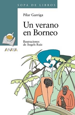 VERANO EN BORNEO, UN | 9788466784283 | GARRIGA, PILAR / RUIZ, ÀNGELS