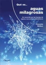 QUE ES… AGUAS MILAGROSAS | 9789875821279 | AAVV