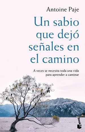 SABIO QUE DEJÓ SEÑALES EN EL CAMINO, UN | 9788408166382 | PAJE, ANTOINE