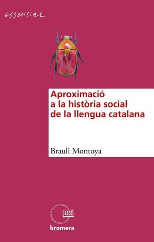 APROXIMACIÓ A LA HISTÒRIA SOCIAL DE LA LLENGUA CATALANA | 9788490268339 | MONTOYA, BRAULI