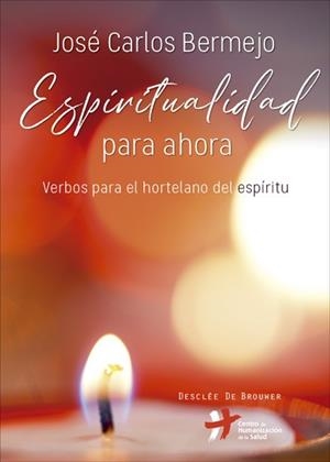 ESPIRITUALIDAD PARA AHORA | 9788433028860 | BERMEJO, JOSE CARLOS
