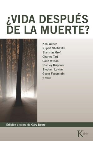 VIDA DESPUES DE LA MUERTE | 9788472452619 | WILBER, KEN / SHELDRAKE, RUPERT