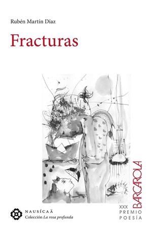 FRACTURAS | 9788494468322 | MARTIN DIAZ, RUBEN