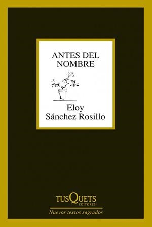 ANTES DEL NOMBRE | 9788483834619 | SÁNCHEZ ROSILLO, ELOY