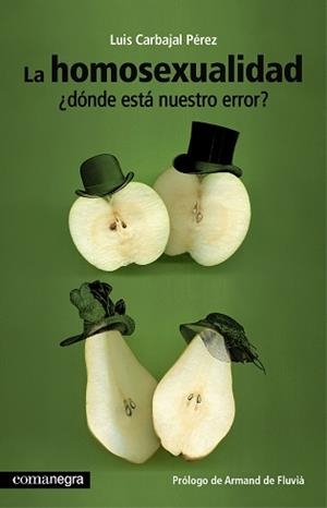 HOMOSEXUALIDAD | 9788415097532 | CARBAJAL PEREZ, LUIS