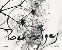 POEMATGES | 9788416965250 | BOADA, MARTÍ / ROMANILLOS, TERESA