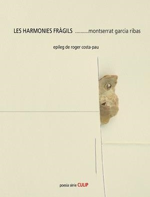 HARMONIES FRÀGILS | 9788489885929 | GARCIA RIBAS, MONTSERRAT