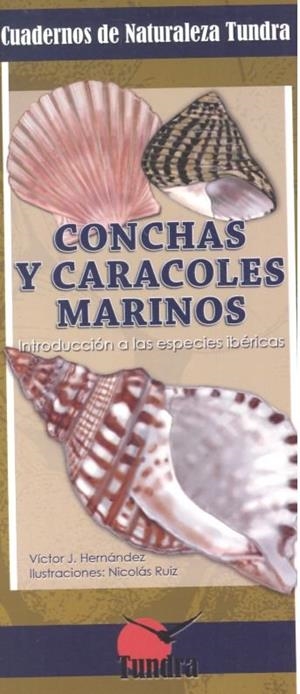 CONCHAS Y CARACOLES MARINOS CUADERNOS DE NATURALEZA | 9788416702886 | HERNANDEZ, VICTOR J