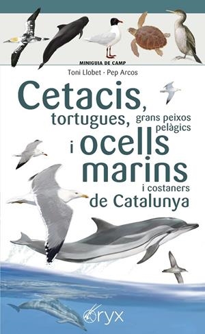CETACIS, TORTUGUES, GRANS PEIXOS PELÀGICS I OCELLS MARINS DE CATALUNYA | 9788490349441 | LLOBET FRANÇOIS, TONI / ARCOS, PEP
