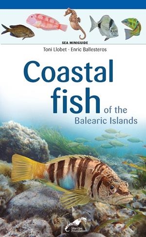 COASTAL FISH OF THE BALEARIC ISLANDS | 9788490349427 | LLOBET, TONI / BALLESTEROS SAGARRA, ENRIC