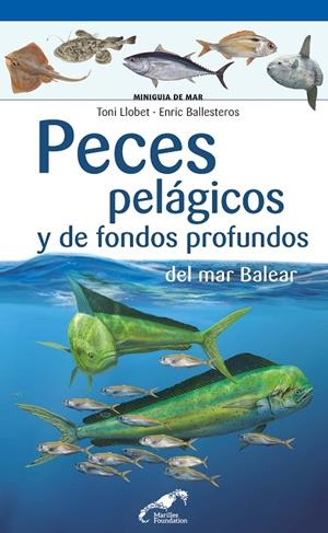 PECES PELÁGICOS Y DE FONDOS PROFUNDOS DEL MAR BALEAR | 9788416918775 | LLOBET, TONI / BALLESTEROS SAGARRA, ENRIC