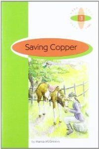 SAVING COPPER | 9789963465651 | MCGREEVY, MARISA