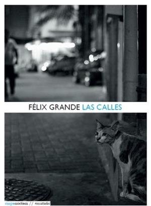 CALLES, LAS | 9788494243226 | GRANDE, FÉLIX