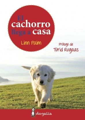 CACHORRO LLEGA A CASA, EL | 9788494041945 | PALM, LINN
