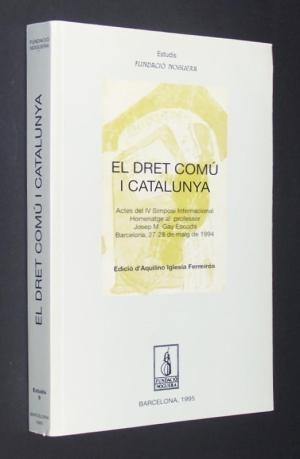 DRET COMÚ I CATALUNYA, VIII, EL | 9788492231966 | VARIOS AUTORES