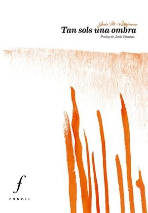 VESTIGIS, MÈMORIES I SÍMBOLS A LES COMARQUES DE LLEIDA | 9788494243059 | MIR CURCÓ, CONXITA