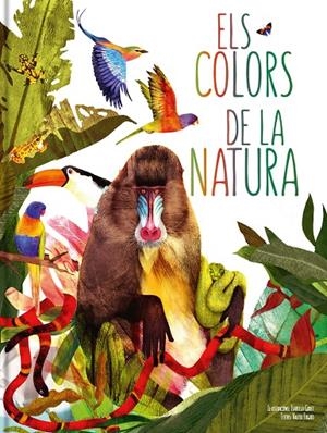 COLORS DE LA NATURA, ELS | 9788413342320