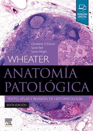 WHEATER. ANATOMÍA PATOLÓGICA (6ª ED.) | 9788491137467 | O'DOWD, G.