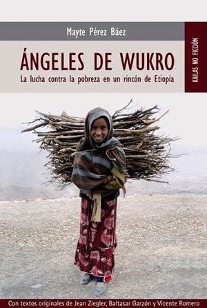 ÁNGELES DE WUKRO | 9788489624511 | PÉREZ BÁEZ, MAYTE