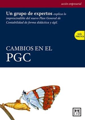 CAMBIOS EN EL PGC | 9788483560556 | ARCE GISBERT, MIGUEL / LABATUT SERER, GREGORIO / LÓPEZ PÉREZ, Mª VICTORIA / PÉREZ LÓPEZ, Mª CARMEN /