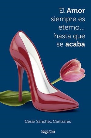 AMOR SIEMPRE ES ETERNO...HASTA QUE SE ACABA, EL | 9788415329640 | SÁNCHEZ CAÑIZARES, CÉSAR