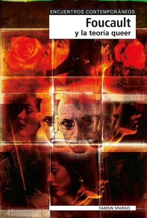 FOUCAULT Y LA TEORÍA QUEER | 9788497840507 | SPARGO, TAMSIN