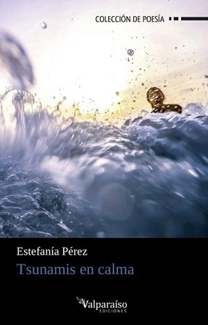 TSUNAMIS EN CALMA | 9788418082191 | PEREZ, ESTEFANIA