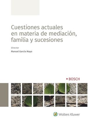 CUESTIONES ACTUALES EN MATERIA DE MEDIACIÓN, FAMILIA Y SUCESIONES | 9788490904381 | GARCÍA MAYO, MANUEL