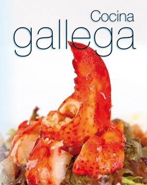 COCINA GALLEGA | 9788499395876 | SÁNCHEZ ENCINAL, JAIME