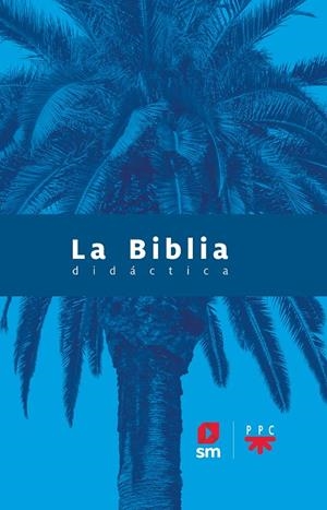 BIBLIA DIDÁCTICA, LA (ED. 2020) | 9788413183039 | VARIOS AUTORES,