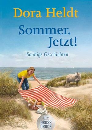 SOMMER JETZT | 9783423254243 | HELDT, DORA