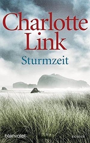STURMZEIT | 9783734105982 | LINK, CHARLOTTE