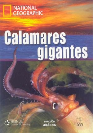 COLECCIÓN NATIONAL GEOGRAPHIC: CALAMARES GIGANTES+DVD C1 | 9788497785921 | DESCONOCIDO