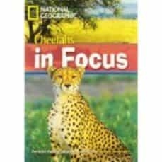 CHEETAH CHASE | 9781424022199