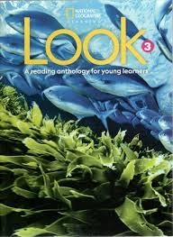 LOOK 3 FLASHCARDS | 9780357030363