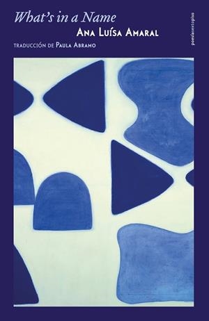 WHAT'S IN A NAME | 9788417517861 | AMARAL, ANA LUISA